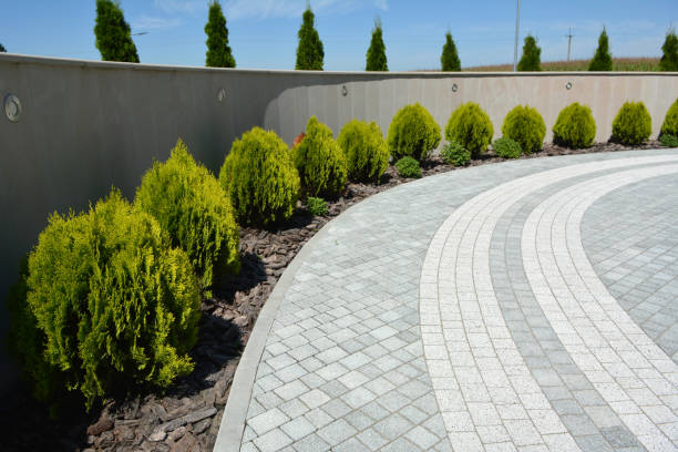 Best Custom Driveway Pavers  in Ottawa, IL